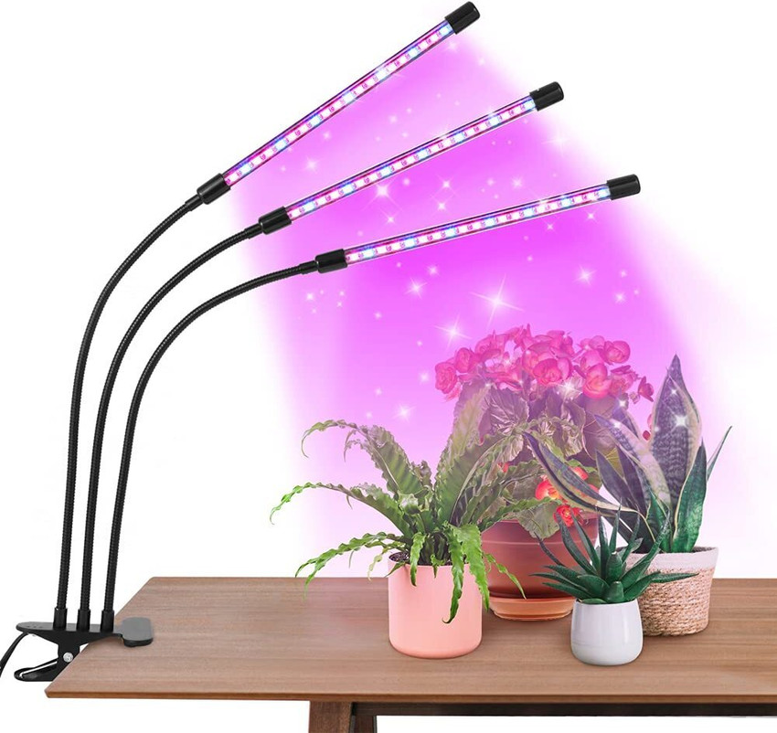 Uv lamp plant outlet