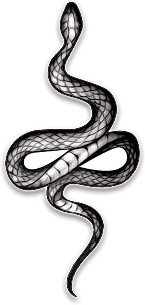 37912 Reptile Tattoo Images Stock Photos  Vectors  Shutterstock