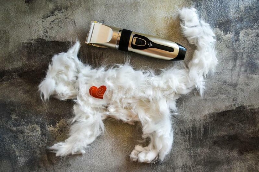 Best pet hair clearance trimmer