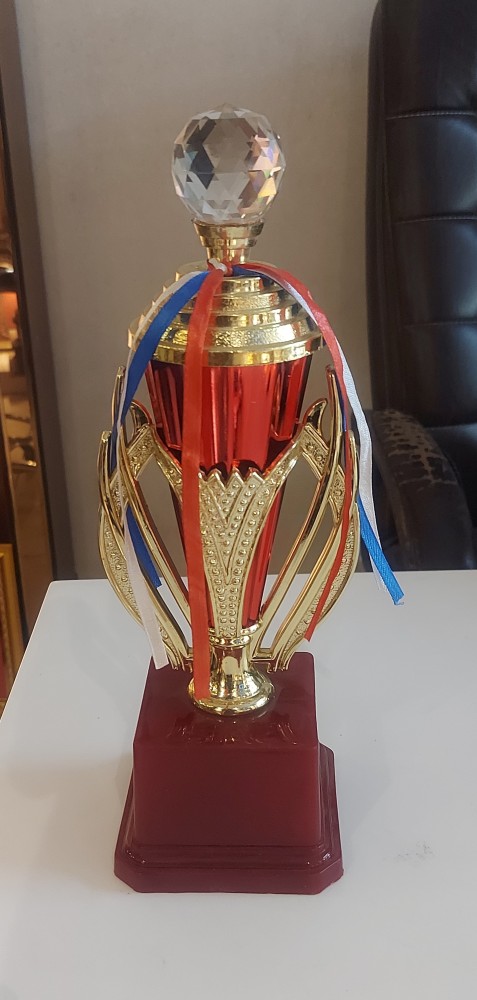 Iron Diamond Trophy Cup, Size (Inches): 11inch at Rs 230/piece in New Delhi