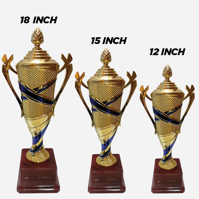 cricket trophy cup