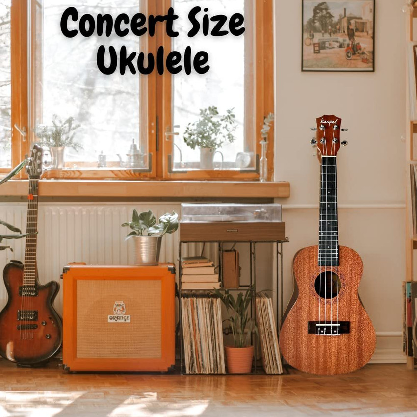 Capotraste top ukulele concert