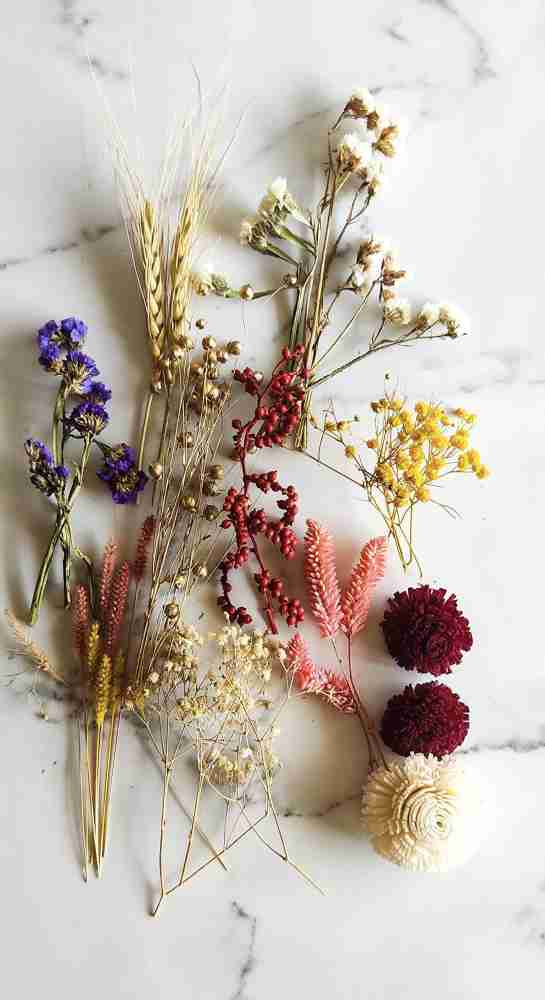 On The Soil Assorted Dry Flower Box, Flowers for Craft, Dried Flowers for  Resin Vase Filler Price in India - Buy On The Soil Assorted Dry Flower Box,  Flowers for Craft, Dried