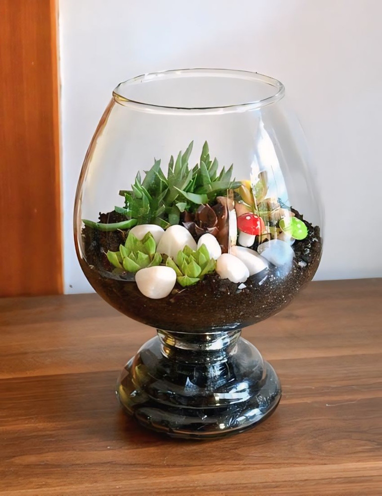 Wine glass aquarium on sale