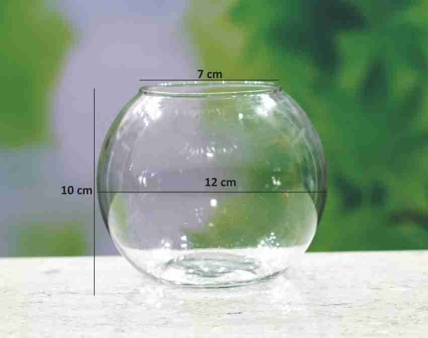 4 inch shop fish bowl