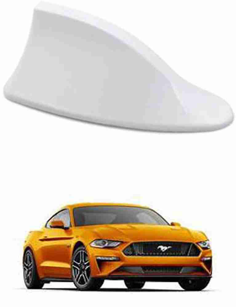 Mustang antenna store