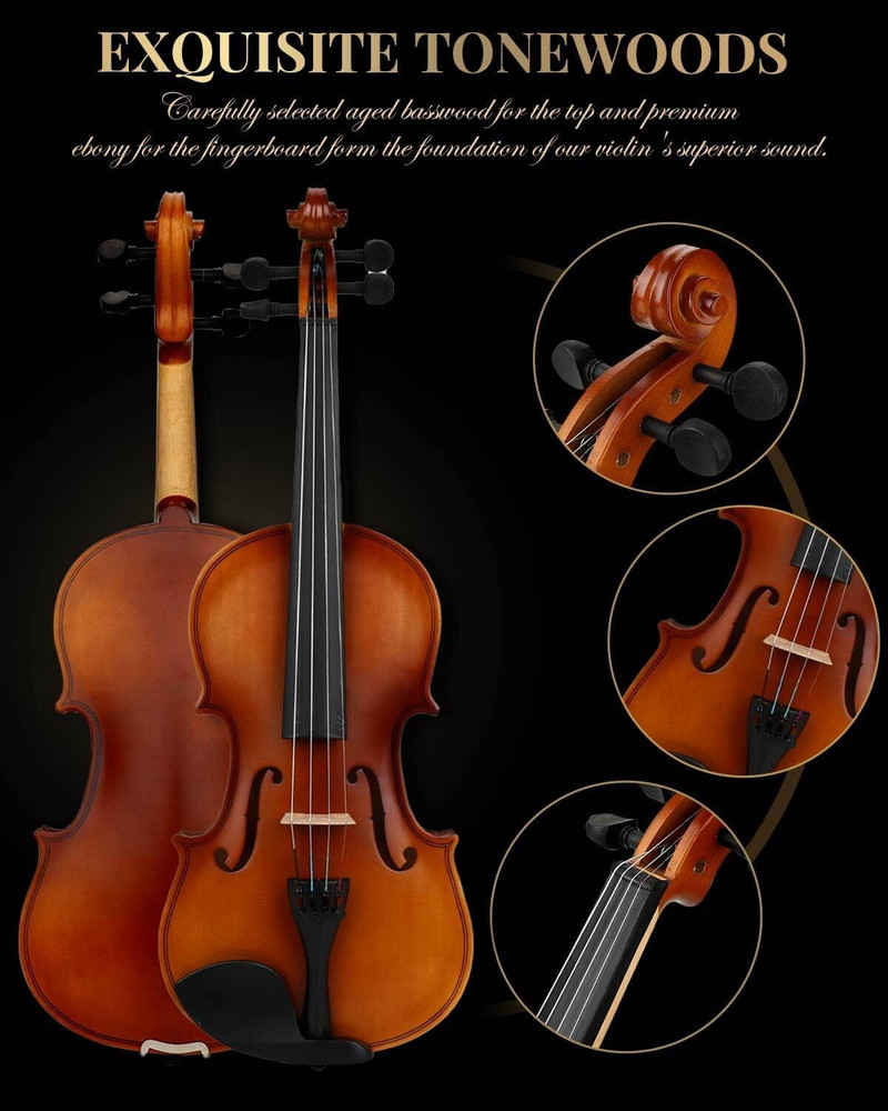 Violin shop wood types