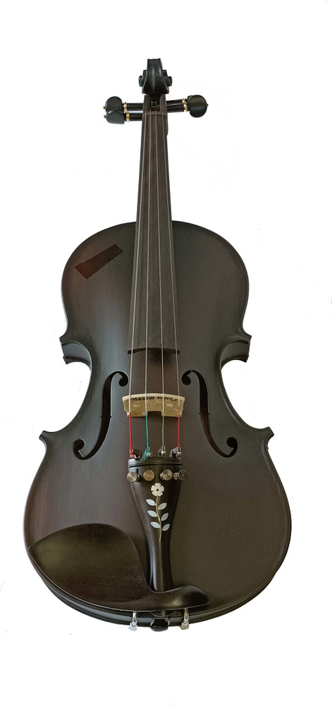 Violin price flipkart best sale