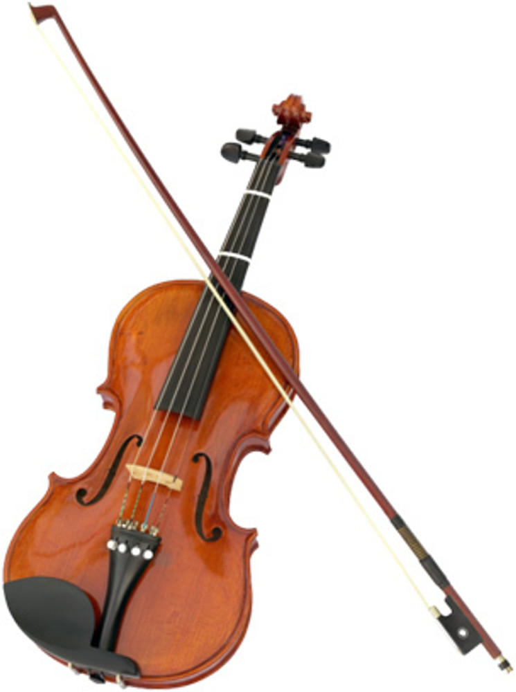 Blue panther violin hot sale