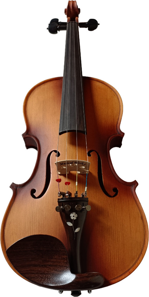 Violin store in flipkart