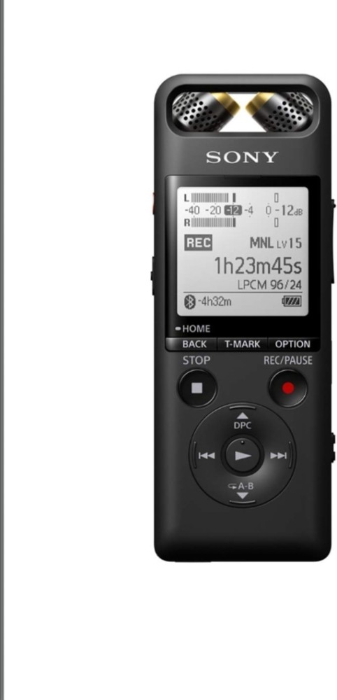 SONY PCM-A10 / / C E 16 GB Voice Recorder - SONY : Flipkart.com