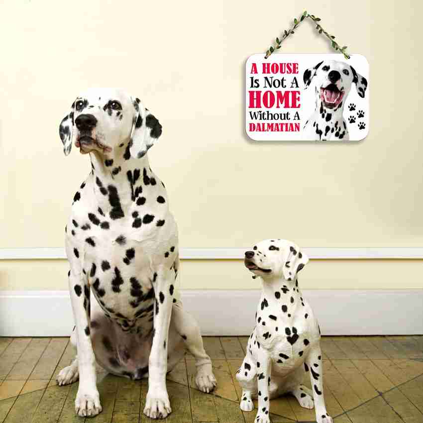 Suveharts Wall Hanging Decorative Items Hall Decoration Items for Dalmatian Dog Price in India Buy Suveharts Wall Hanging Decorative Items Hall Decoration Items for Dalmatian Dog online at Flipkart ...