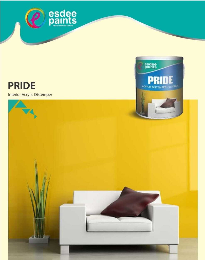 Share 122+ distemper paint interior walls tnbvietnam.edu.vn