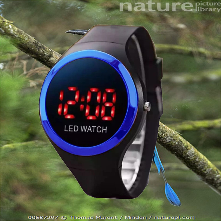 Digital shop watch library