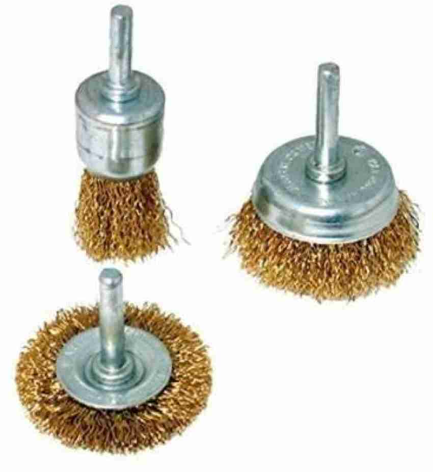 Wire brush 2024 for scraping paint