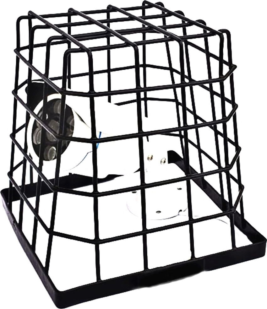 Cctv camera protection 2025