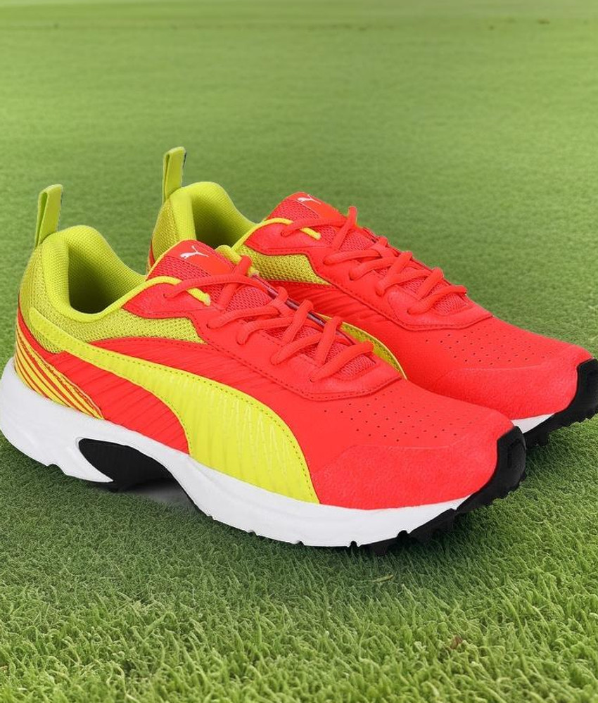 Puma cricket 2025 shoes flipkart
