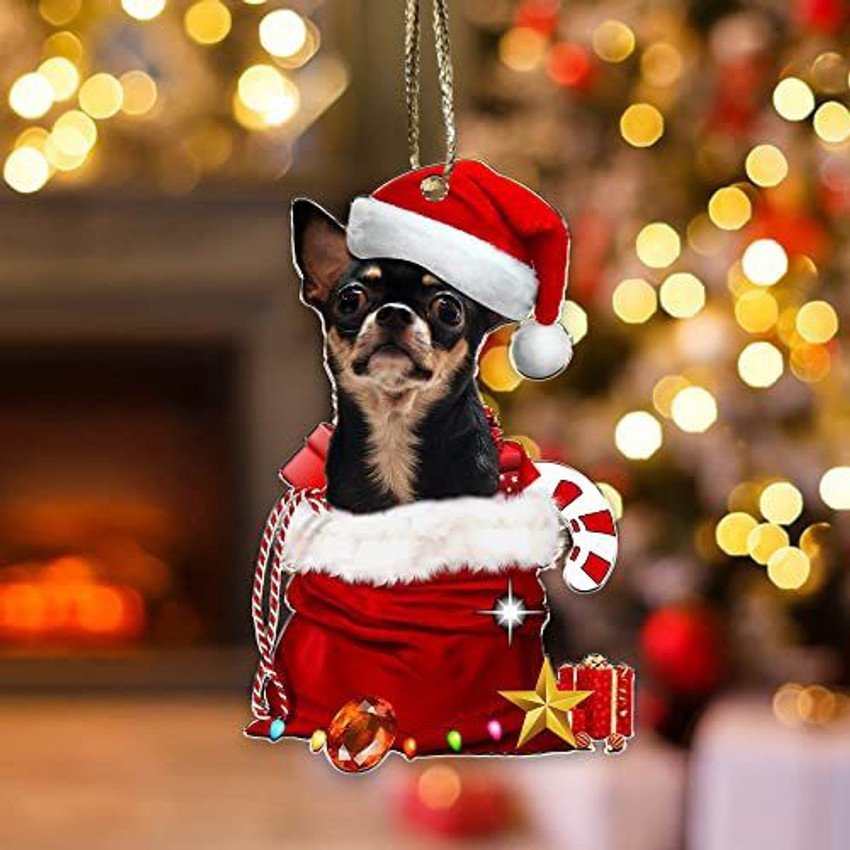 Chihuahua ornament 2025