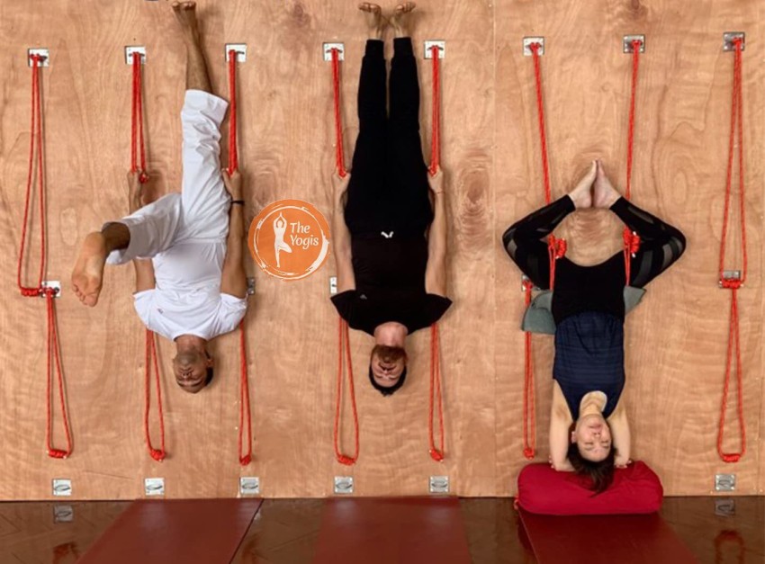 Iyengar Yoga Wall Ropes set of 15 Ropes-2 Long 2 Small,yoga Ropes