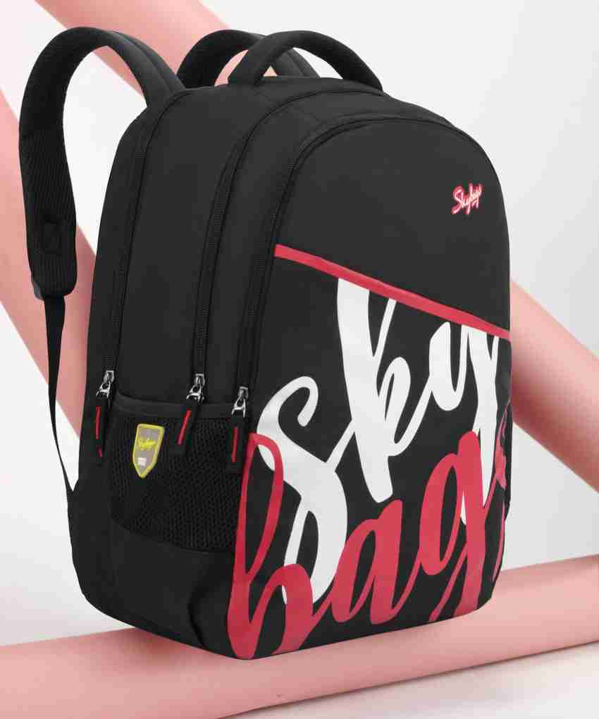 Flipkart sky bag offers hotsell