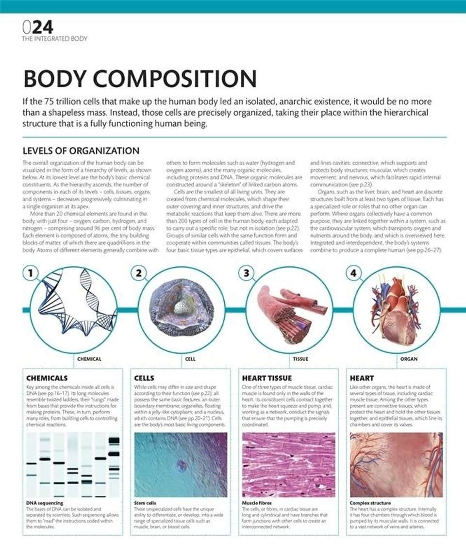 Math Note App Icon The Complete Human Body: Buy The Complete Human Body by Roberts Alice ...