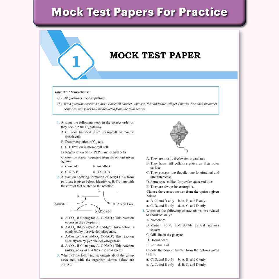 Neet Notes PW Mission 100 Biology For NEET UG 2026 Exams Chapterwise Revision ...