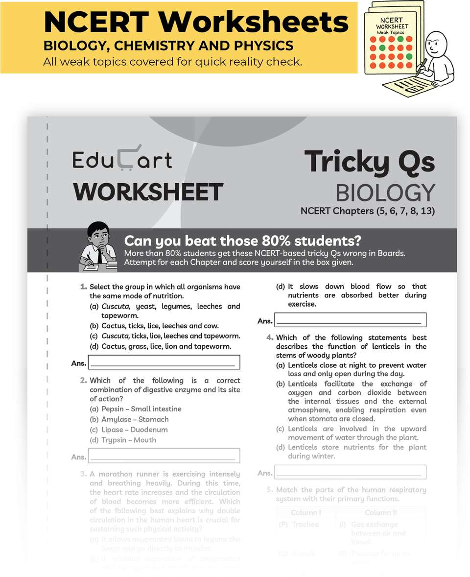 Educart CBSE Sample Paper Class 10 2025-26 Science (Introducing ...