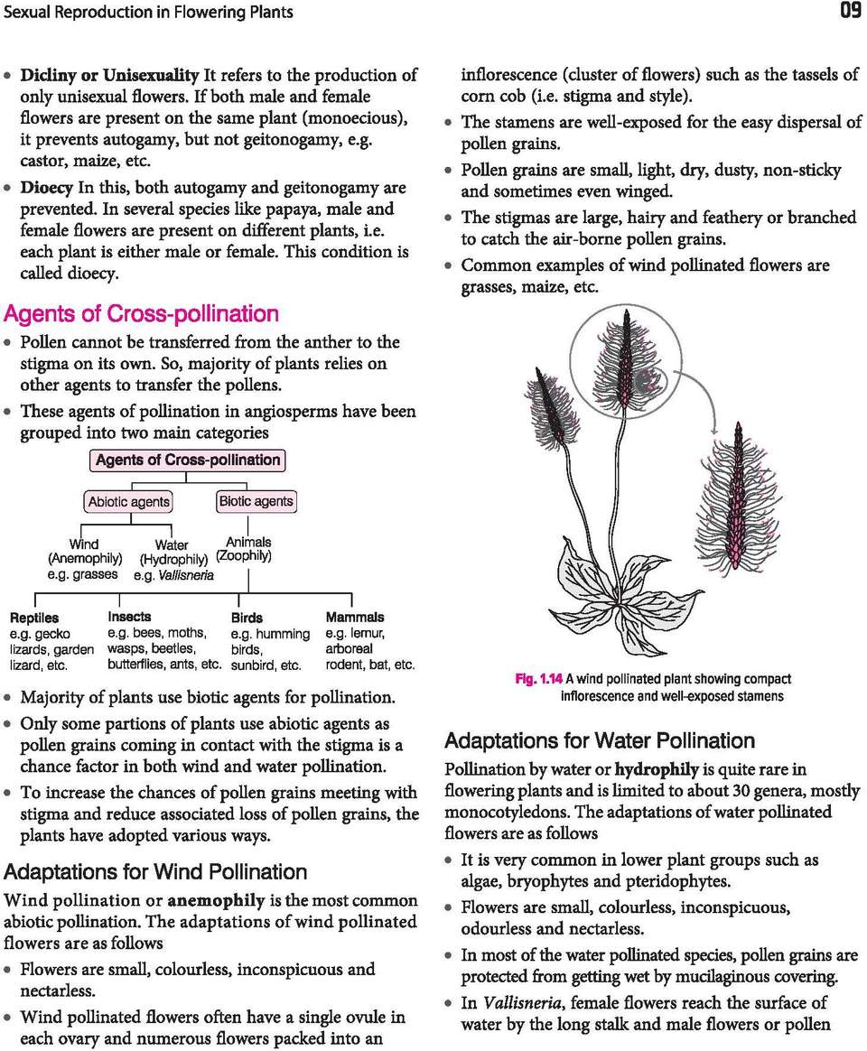 ARIHANT ALL IN ONE BIOLOGY CLASS 12 PDF FREE DOWNLOAD 2025 26 visual data 5