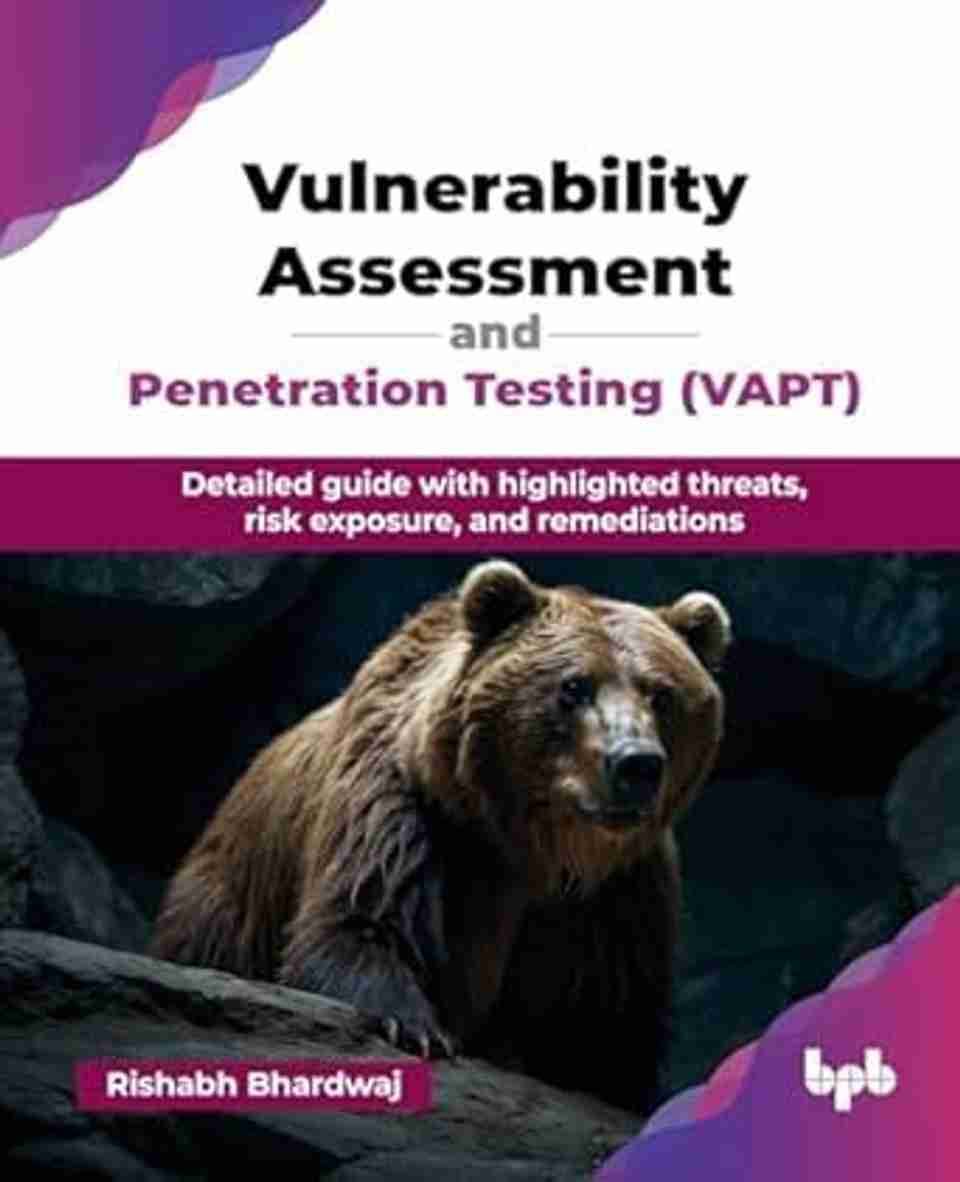 Vulnerability Risk Icon Vulnerability Assessment and Penetration Testing (VAPT): Buy ...