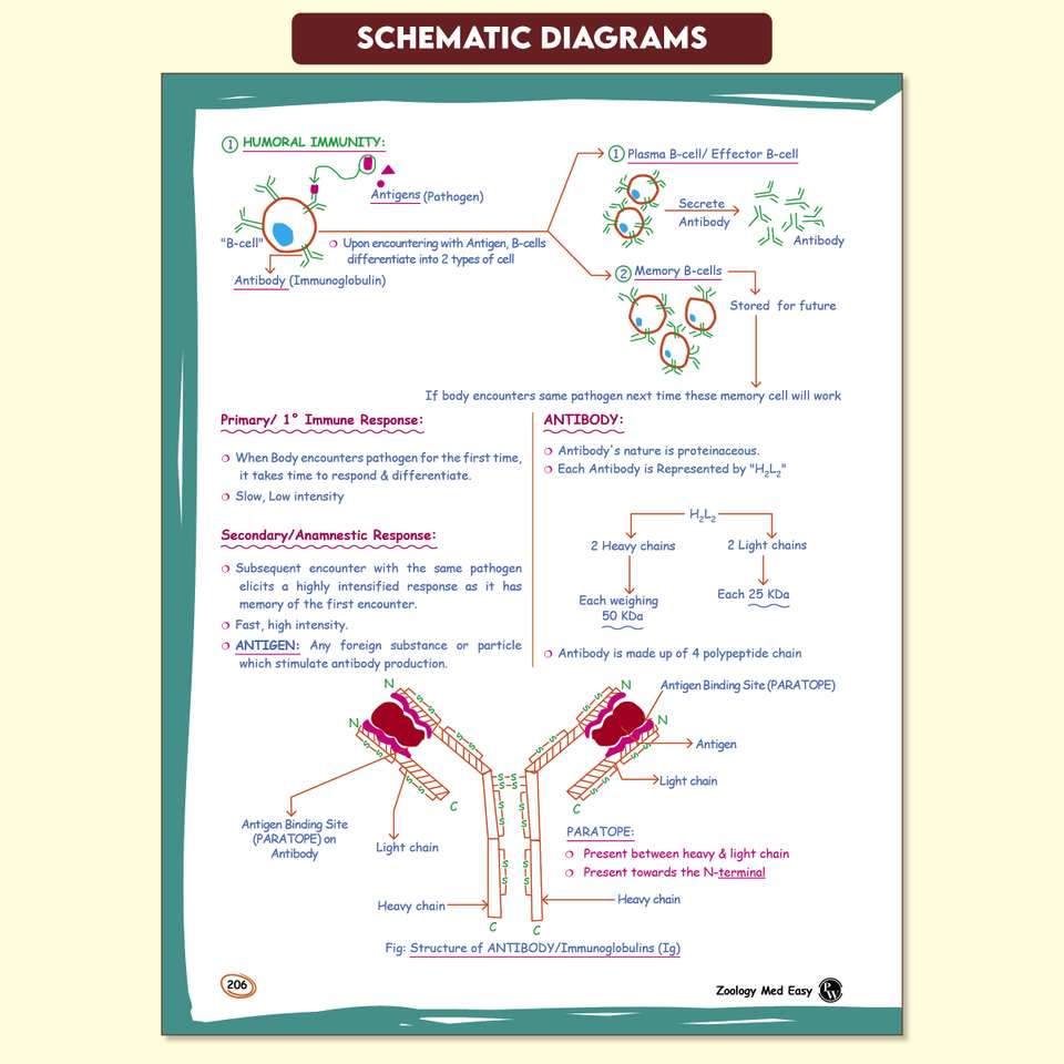 Pw Zoology Med Easy 2.0 for Neet and Board Exams 2025-26 | Flowcharts ...