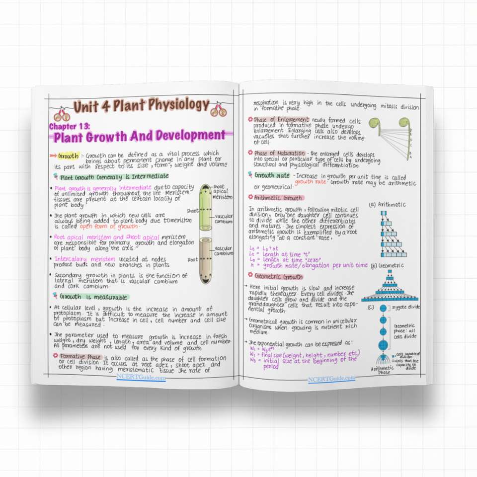 Class 11 Biology Short Notes | Handwritten & Colorful | CBSE Board ...
