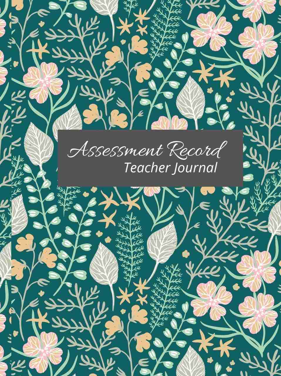 Recoard Icon Assessment Record Teacher Journal: Buy Assessment Record Teacher ...