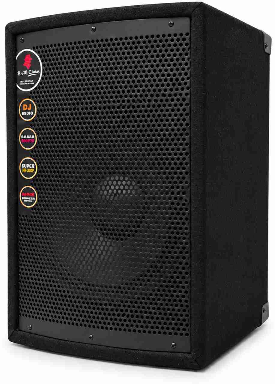 AURVO 10 Inch Passive DJ Speaker - Image 6