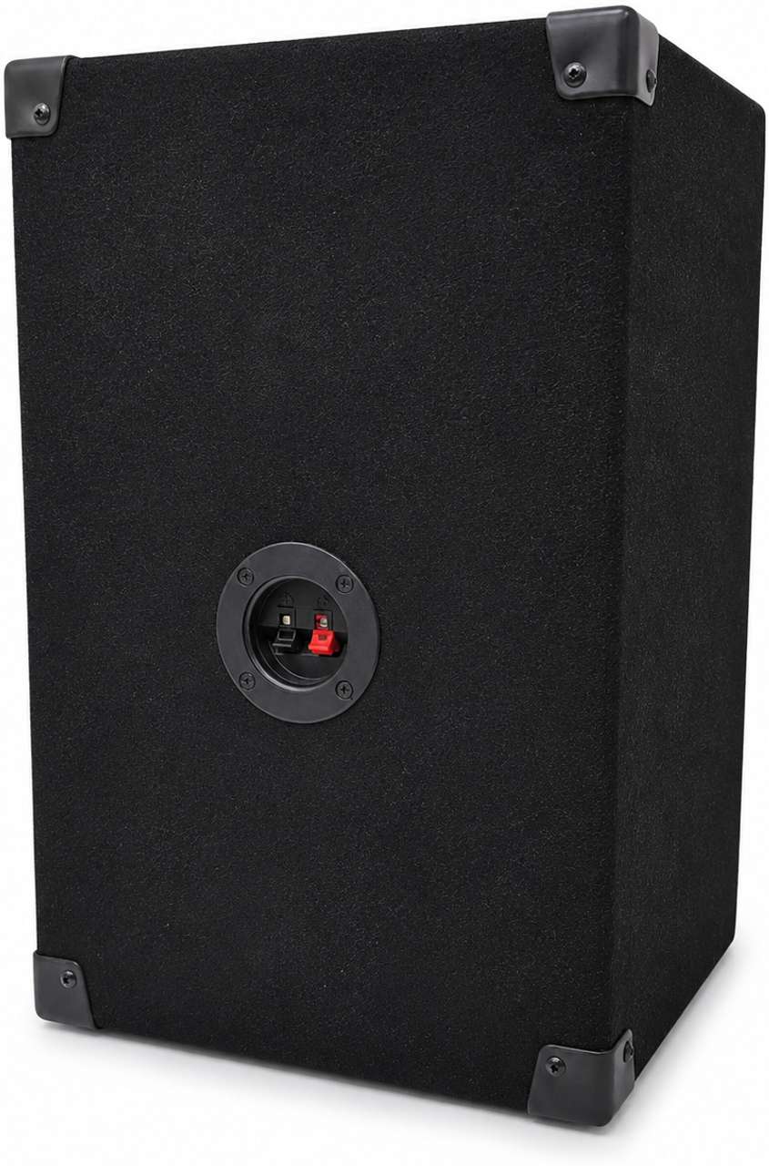 AURVO 10 Inch Passive DJ Speaker - Image 8