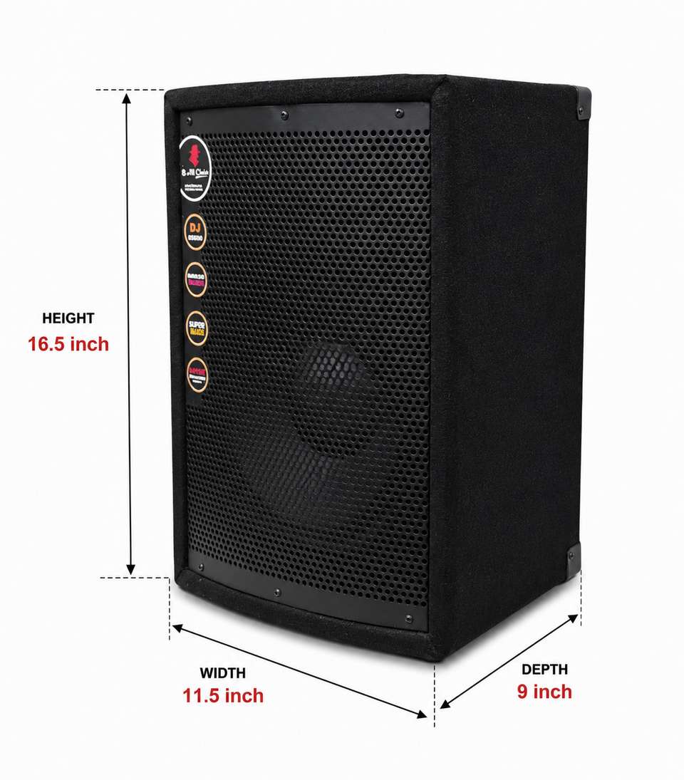 AURVO 10 Inch Passive DJ Speaker - Image 9