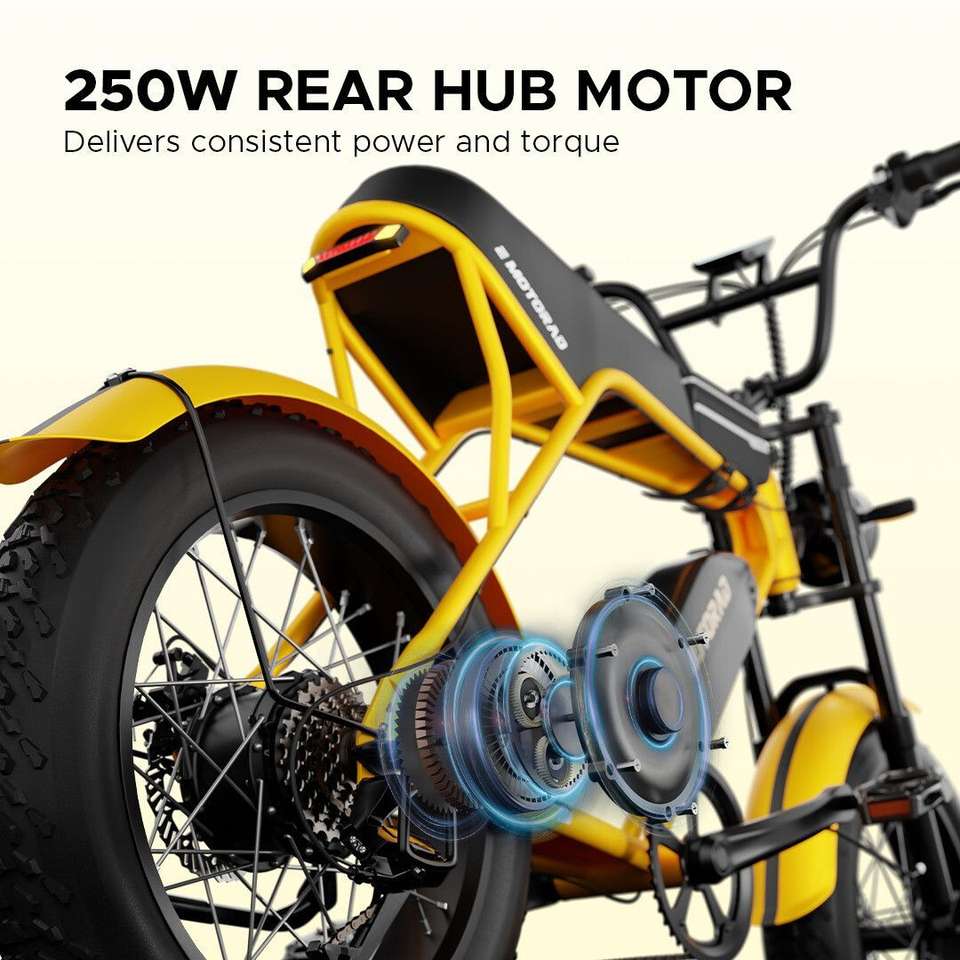 E Ranger EMotorad Ranger Electric Cycle with Removable Battery,Front & Rear ...