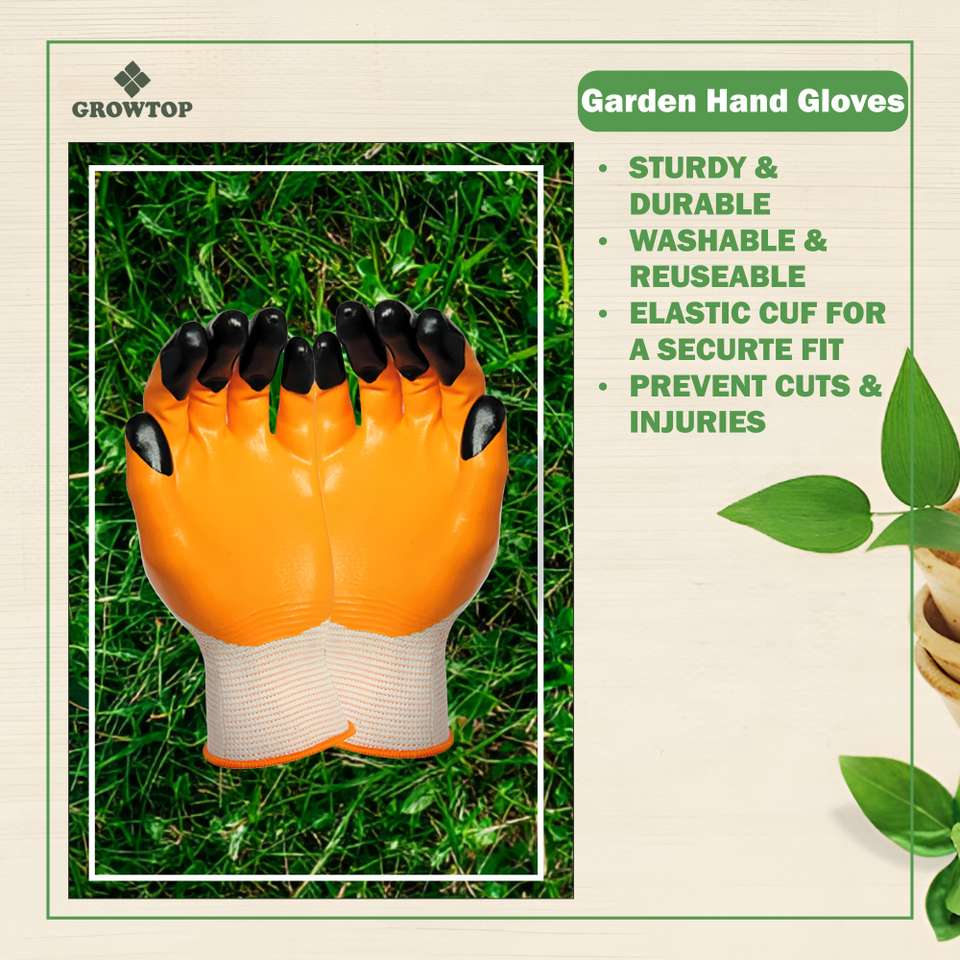 GROWTOP 3-Piece Wooden Handle Cultivator with Gloves - Image 9