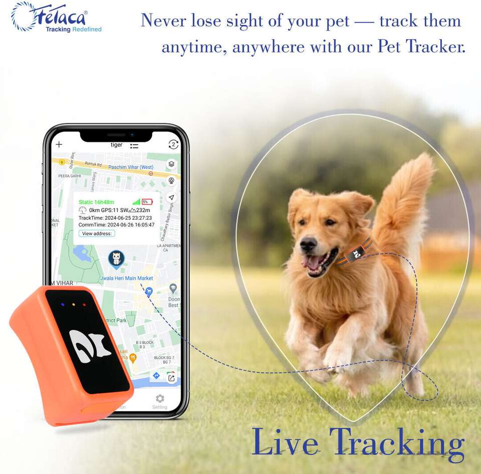 fetaca 4G GPS Pet Tracker Collar for Dogs, Cats – Real-Time Tracking ...