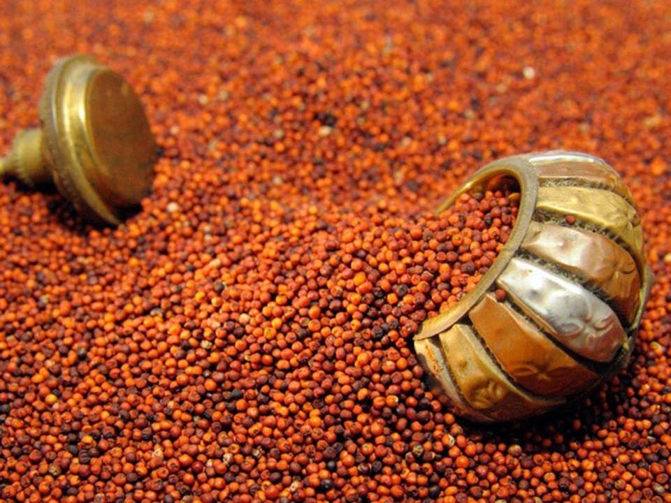 Batala Ragulu Farmbean Natural Finger Millet , Nachani , Ragi , Ragulu ( 1 kg) Finger ...