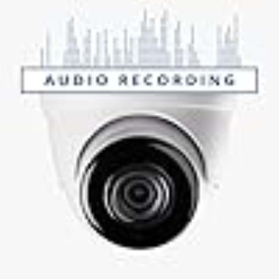 CP PLUS MIC 2.4MP Dome Camera [Night Vision+Built-in MIC Audio+IR LEDs ...