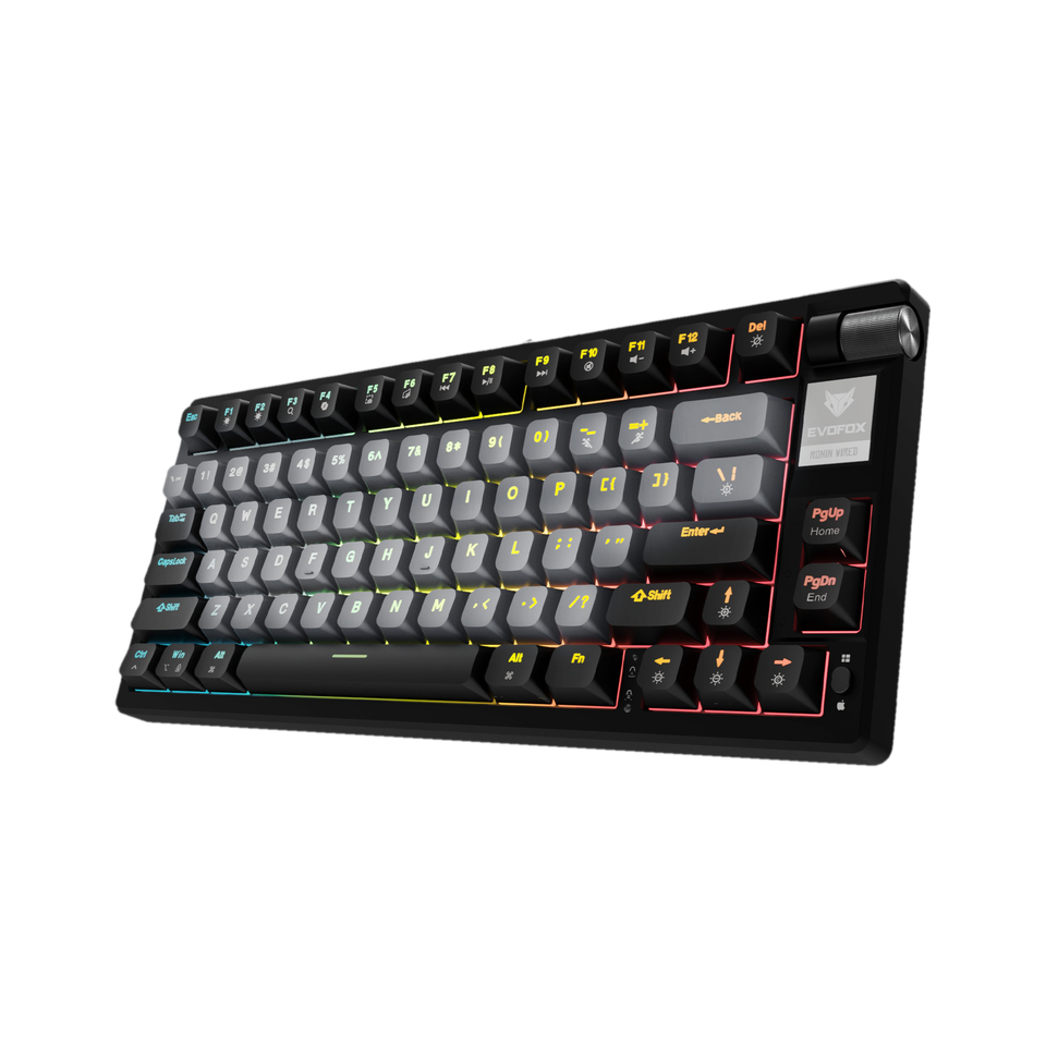 Keyboard Key Led EVOFOX Ronin TKL RGB Mechanical Wired USB Tenkeyless Gaming Keyboard ...
