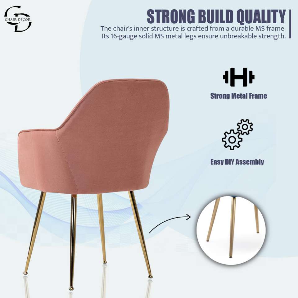 Chair Notifier CHAIR DECOR Foam Living Room Chair Price in India - Buy CHAIR DECOR ...
