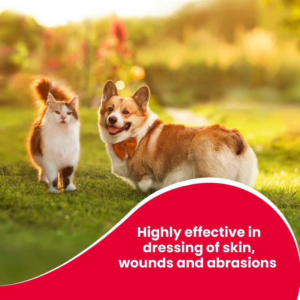 Beaphar Wound Healing Spray for Dogs & Cats 125 ml Pet Coat Cleanser ...