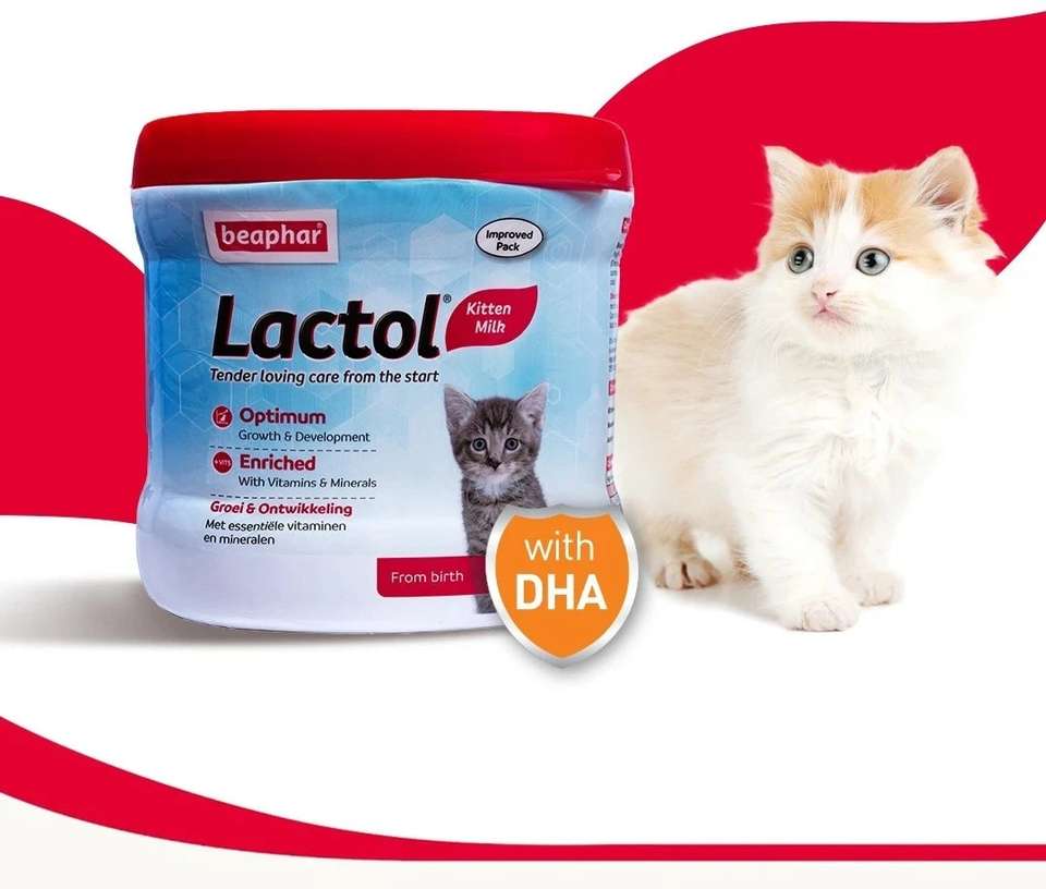 Beaphar Newborn Kitten Cat Milk with DHA, Vitamin, Minerals, Kitten ...