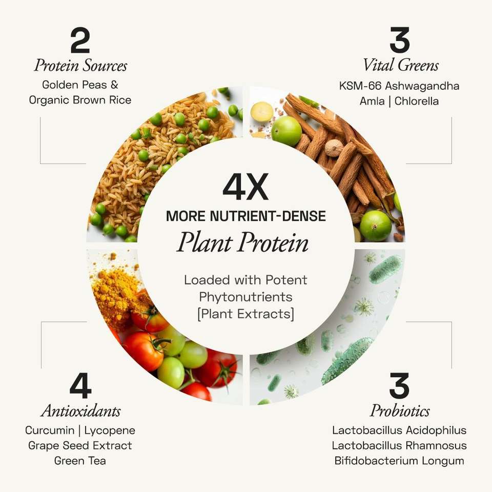 Ace Blend DAILY, 20G Complete Vegan Plant Protein Powder & Superfoods ...