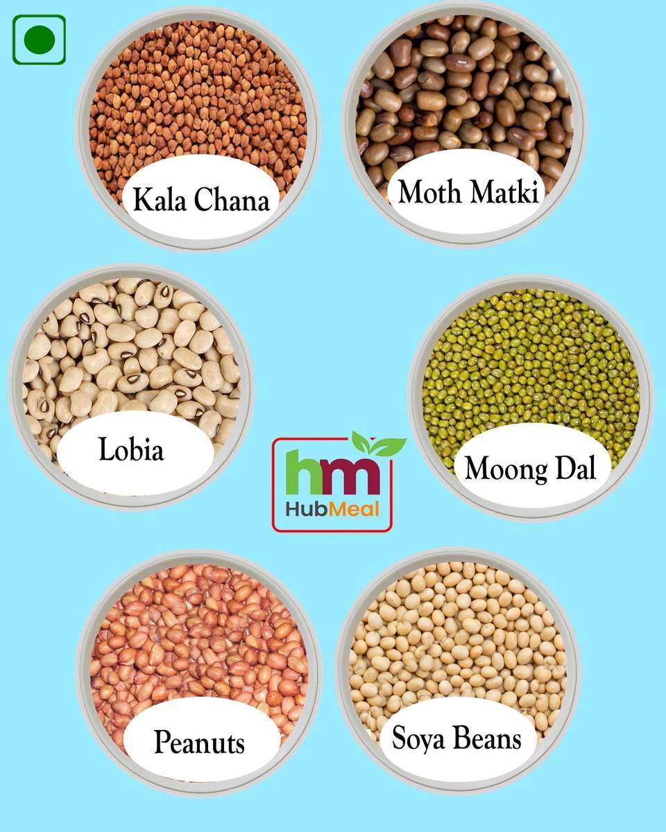 Hubmeal Unpolished Mix Sprouts Price in India - Buy Hubmeal Unpolished ...