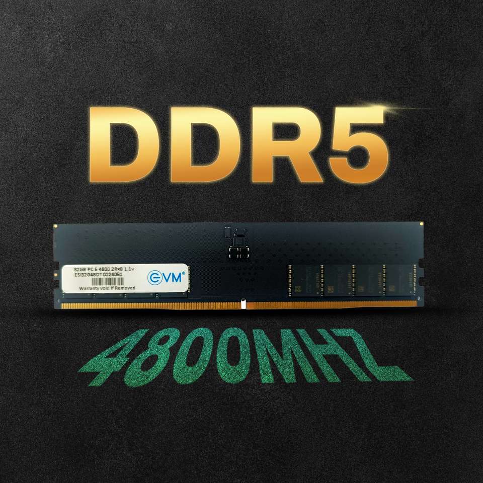 EVM Desktop RAM DDR5 32 GB (Dual Channel) PC DDR5 (32GB DDR5 Desktop ...