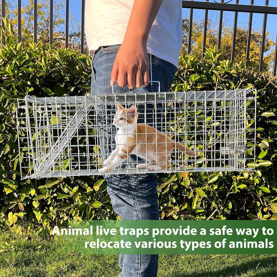 Rat Rabbit Animal HASTHIP Live Animal Cage Trap, One-Door Animal Trap forRabbits, Stray ...