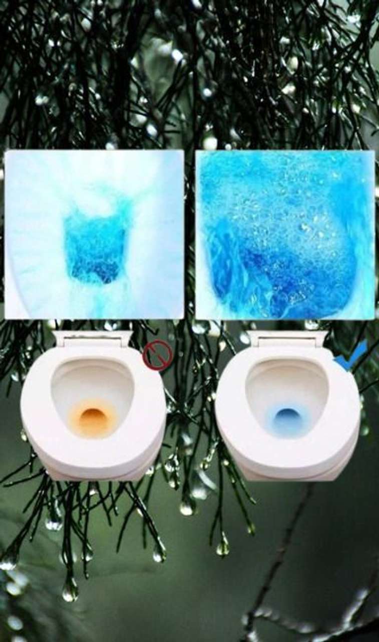 Cocuriosity Toiletcleanertablet packof 10_AM Lemon Block Toilet Cleaner ...