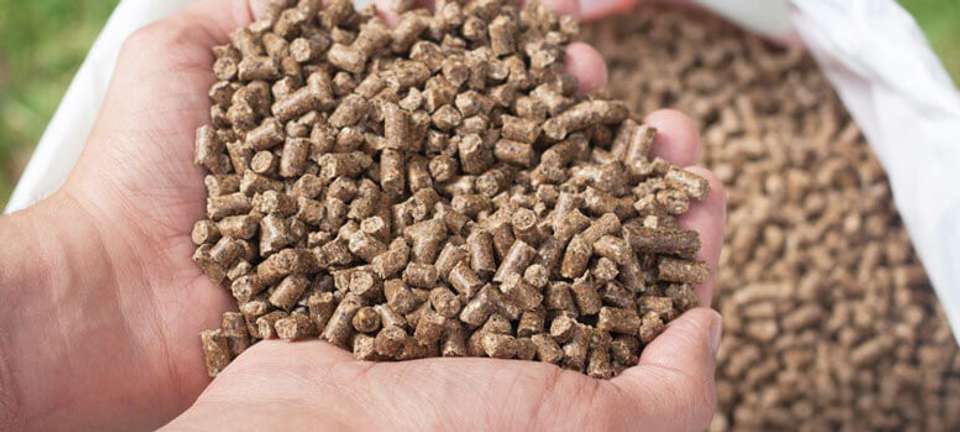 DairyGold Cow Feed/Buffalo Feed/Cattle Feed Pellet 18 kg Dry Adult Cow ...